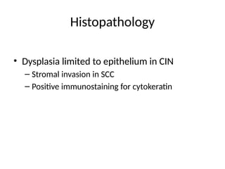Histopathology
• Dysplasia limited to epithelium in CIN
– Stromal invasion in SCC
– Positive immunostaining for cytokeratin
 