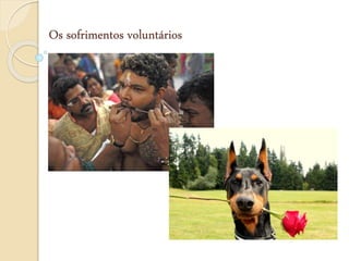 Os sofrimentos voluntários
 