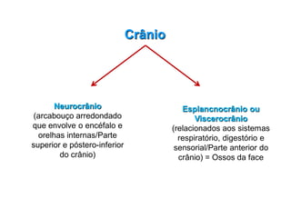 Crânio
Neurocrânio
(arcabouço arredondado
que envolve o encéfalo e
orelhas internas/Parte
superior e póstero-inferior
do crânio)
Esplancnocrânio ou
Viscerocrânio
(relacionados aos sistemas
respiratório, digestório e
sensorial/Parte anterior do
crânio) = Ossos da face
 