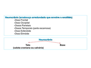 Neurocrânio (arcabouço arredondado que envolve o encéfalo)
-Osso Frontal
-Osso Occipital
-Ossos Parietais
-Ossos Temporais (parte escamosa)
-Osso Esfenóide
-Osso Etmóide
Neurocrânio
Teto Base
(calota craniana ou calvária)
 