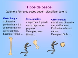 Dar mobilidade ao corpo;