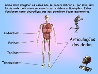 Receber e absorver os esforços de compressão.Ossos do tronco