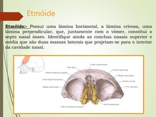 Etmóide
Etmóide:- Possui uma lâmina horizontal, a lâmina crivosa, uma
lâmina perpendicular, que, juntamente com o vômer, constitui o
septo nasal ósseo. Identifique ainda as conchas nasais superior e
média que são duas massas laterais que projetam-se para o interior
da cavidade nasal.
 