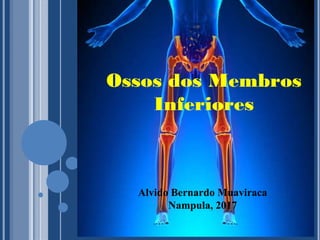 Ossos dos Membros
Inferiores
Alvido Bernardo MuaviracaAlvido Bernardo Muaviraca
Nampula, 2017Nampula, 2017
 