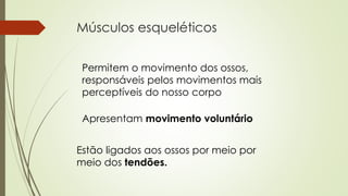 Músculos esqueléticos 
Permitem o movimento dos ossos, 
responsáveis pelos movimentos mais 
perceptíveis do nosso corpo 
Apresentam movimento voluntário 
Estão ligados aos ossos por meio por 
meio dos tendões. 
 