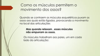 Como os músculos permitem o 
movimento dos ossos? 
Quando se contraem os músculos esqueléticos puxam os 
ossos aos quais estão ligados, provocando o movimento 
no local das articulações 
Mas quando relaxam , esses músculos 
não empurram os ossos. 
Os músculos trabalham aos pares, um em cada 
lado da articulação: 
 