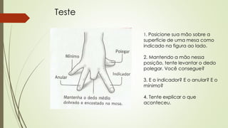 Teste 
1. Posicione sua mão sobre a 
superfície de uma mesa como 
indicado na figura ao lado. 
2. Mantendo a mão nessa 
posição, tente levantar o dedo 
polegar. Você consegue? 
3. E o indicador? E o anular? E o 
mínimo? 
4. Tente explicar o que 
aconteceu. 
 