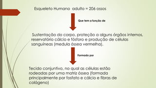 Esqueleto Humano adulto = 206 ossos 
Que tem a função de 
Sustentação do corpo, proteção a alguns órgãos internos, 
reservatório cálcio e fósforo e produção de células 
sanguíneas (medula óssea vermelha). 
Formado por 
Tecido conjuntivo, no qual as células estão 
rodeadas por uma matriz óssea (formada 
principalmente por fosfato e cálcio e fibras de 
colágeno) 
 