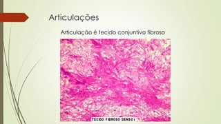 Articulações 
Articulação é tecido conjuntivo fibroso 
 