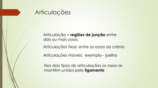 Articulações 
Articulação = regiões de junção entre 
dois ou mais ossos. 
Articulações fixas: entre os ossos do crânio 
Articulações móveis: exemplo - joelho 
Nos dois tipos de articulações os ossos se 
mantêm unidos pelo ligamento 
 