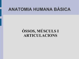 ANATOMIA HUMANA BÀSICA
ÒSSOS, MÚSCULS I
ARTICULACIONS
 