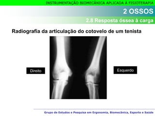 Grupo de Estudos e Pesquisa em Ergonomia, Biomecânica, Esporte e Saúde
INSTRUMENTAÇÃO BIOMECÂNICA APLICADA À FISIOTERAPIA
Radiografia da articulação do cotovelo de um tenista
Direito Esquerdo
2 OSSOS
2.8 Resposta óssea à carga
 