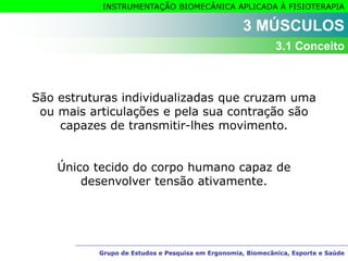 Grupo de Estudos e Pesquisa em Ergonomia, Biomecânica, Esporte e Saúde
INSTRUMENTAÇÃO BIOMECÂNICA APLICADA À FISIOTERAPIA
São estruturas individualizadas que cruzam uma
ou mais articulações e pela sua contração são
capazes de transmitir-lhes movimento.
Único tecido do corpo humano capaz de
desenvolver tensão ativamente.
Grupo de Estudos e Pesquisa em Ergonomia, Biomecânica, Esporte e Saúde
3 MÚSCULOS
3.1 Conceito
 