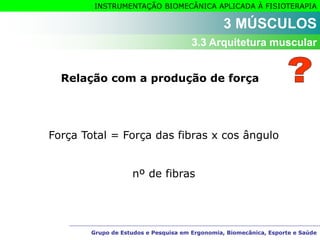 Grupo de Estudos e Pesquisa em Ergonomia, Biomecânica, Esporte e Saúde
INSTRUMENTAÇÃO BIOMECÂNICA APLICADA À FISIOTERAPIA
Grupo de Estudos e Pesquisa em Ergonomia, Biomecânica, Esporte e Saúde
Relação com a produção de força
3 MÚSCULOS
3.3 Arquitetura muscular
Força Total = Força das fibras x cos ângulo
nº de fibras
 