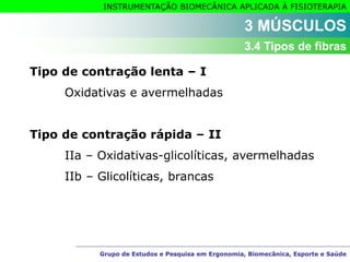 Grupo de Estudos e Pesquisa em Ergonomia, Biomecânica, Esporte e Saúde
INSTRUMENTAÇÃO BIOMECÂNICA APLICADA À FISIOTERAPIA
Grupo de Estudos e Pesquisa em Ergonomia, Biomecânica, Esporte e Saúde
Tipo de contração lenta – I
Oxidativas e avermelhadas
Tipo de contração rápida – II
IIa – Oxidativas-glicolíticas, avermelhadas
IIb – Glicolíticas, brancas
3 MÚSCULOS
3.4 Tipos de fibras
 