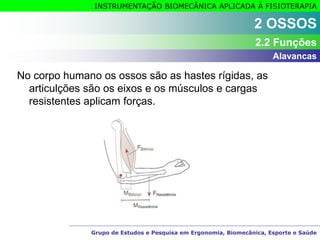 Grupo de Estudos e Pesquisa em Ergonomia, Biomecânica, Esporte e Saúde
INSTRUMENTAÇÃO BIOMECÂNICA APLICADA À FISIOTERAPIA
2 OSSOS
2.2 Funções
Alavancas
No corpo humano os ossos são as hastes rígidas, as
articulções são os eixos e os músculos e cargas
resistentes aplicam forças.
 