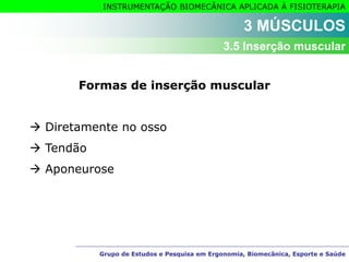Grupo de Estudos e Pesquisa em Ergonomia, Biomecânica, Esporte e Saúde
INSTRUMENTAÇÃO BIOMECÂNICA APLICADA À FISIOTERAPIA
Grupo de Estudos e Pesquisa em Ergonomia, Biomecânica, Esporte e Saúde
3 MÚSCULOS
3.5 Inserção muscular
Formas de inserção muscular
 Diretamente no osso
 Tendão
 Aponeurose
 