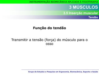 Grupo de Estudos e Pesquisa em Ergonomia, Biomecânica, Esporte e Saúde
INSTRUMENTAÇÃO BIOMECÂNICA APLICADA À FISIOTERAPIA
Grupo de Estudos e Pesquisa em Ergonomia, Biomecânica, Esporte e Saúde
3 MÚSCULOS
3.5 Inserção muscular
Função do tendão
Transmitir a tensão (força) do músculo para o
osso
Tendão
 