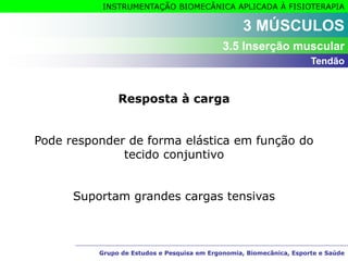 Grupo de Estudos e Pesquisa em Ergonomia, Biomecânica, Esporte e Saúde
INSTRUMENTAÇÃO BIOMECÂNICA APLICADA À FISIOTERAPIA
Grupo de Estudos e Pesquisa em Ergonomia, Biomecânica, Esporte e Saúde
3 MÚSCULOS
3.5 Inserção muscular
Resposta à carga
Pode responder de forma elástica em função do
tecido conjuntivo
Suportam grandes cargas tensivas
Tendão
 