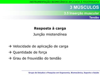Grupo de Estudos e Pesquisa em Ergonomia, Biomecânica, Esporte e Saúde
INSTRUMENTAÇÃO BIOMECÂNICA APLICADA À FISIOTERAPIA
Grupo de Estudos e Pesquisa em Ergonomia, Biomecânica, Esporte e Saúde
3 MÚSCULOS
3.5 Inserção muscular
Resposta à carga
Junção miotendínea
 Velocidade de aplicação de carga
 Quantidade de força
 Grau de frouxidão do tendão
Tendão
 