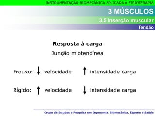 Grupo de Estudos e Pesquisa em Ergonomia, Biomecânica, Esporte e Saúde
INSTRUMENTAÇÃO BIOMECÂNICA APLICADA À FISIOTERAPIA
Grupo de Estudos e Pesquisa em Ergonomia, Biomecânica, Esporte e Saúde
3 MÚSCULOS
3.5 Inserção muscular
Resposta à carga
Junção miotendínea
Frouxo: velocidade intensidade carga
Rígido: velocidade intensidade carga
Tendão
 