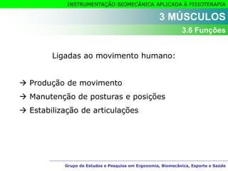 Grupo de Estudos e Pesquisa em Ergonomia, Biomecânica, Esporte e Saúde
INSTRUMENTAÇÃO BIOMECÂNICA APLICADA À FISIOTERAPIA
Grupo de Estudos e Pesquisa em Ergonomia, Biomecânica, Esporte e Saúde
Ligadas ao movimento humano:
 Produção de movimento
 Manutenção de posturas e posições
 Estabilização de articulações
3 MÚSCULOS
3.6 Funções
 