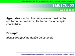 Grupo de Estudos e Pesquisa em Ergonomia, Biomecânica, Esporte e Saúde
INSTRUMENTAÇÃO BIOMECÂNICA APLICADA À FISIOTERAPIA
Grupo de Estudos e Pesquisa em Ergonomia, Biomecânica, Esporte e Saúde
Agonistas - músculos que causam movimento
em torno de uma articulação por meio de ação
concêntrica.
Exemplo:
Bíceps braquial na flexão do cotovelo
3 MÚSCULOS
3.6 Funções
 