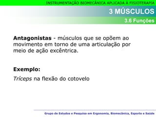 Grupo de Estudos e Pesquisa em Ergonomia, Biomecânica, Esporte e Saúde
INSTRUMENTAÇÃO BIOMECÂNICA APLICADA À FISIOTERAPIA
Grupo de Estudos e Pesquisa em Ergonomia, Biomecânica, Esporte e Saúde
Antagonistas - músculos que se opõem ao
movimento em torno de uma articulação por
meio de ação excêntrica.
Exemplo:
Tríceps na flexão do cotovelo
3 MÚSCULOS
3.6 Funções
 