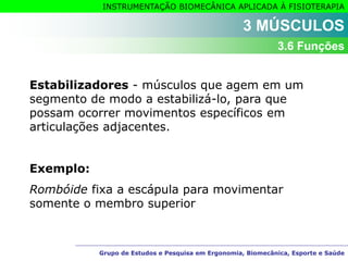 Grupo de Estudos e Pesquisa em Ergonomia, Biomecânica, Esporte e Saúde
INSTRUMENTAÇÃO BIOMECÂNICA APLICADA À FISIOTERAPIA
Grupo de Estudos e Pesquisa em Ergonomia, Biomecânica, Esporte e Saúde
Estabilizadores - músculos que agem em um
segmento de modo a estabilizá-lo, para que
possam ocorrer movimentos específicos em
articulações adjacentes.
Exemplo:
Rombóide fixa a escápula para movimentar
somente o membro superior
3 MÚSCULOS
3.6 Funções
 