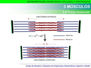 Grupo de Estudos e Pesquisa em Ergonomia, Biomecânica, Esporte e Saúde
INSTRUMENTAÇÃO BIOMECÂNICA APLICADA À FISIOTERAPIA
Grupo de Estudos e Pesquisa em Ergonomia, Biomecânica, Esporte e Saúde
3 MÚSCULOS
3.9 Força muscular
 