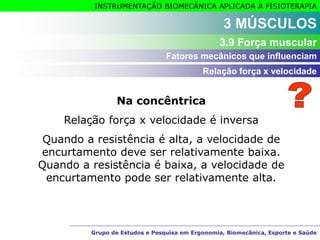 Grupo de Estudos e Pesquisa em Ergonomia, Biomecânica, Esporte e Saúde
INSTRUMENTAÇÃO BIOMECÂNICA APLICADA À FISIOTERAPIA
Grupo de Estudos e Pesquisa em Ergonomia, Biomecânica, Esporte e Saúde
Na concêntrica
Relação força x velocidade é inversa
Quando a resistência é alta, a velocidade de
encurtamento deve ser relativamente baixa.
Quando a resistência é baixa, a velocidade de
encurtamento pode ser relativamente alta.
Relação força x velocidade
3 MÚSCULOS
3.9 Força muscular
Fatores mecânicos que influenciam
 