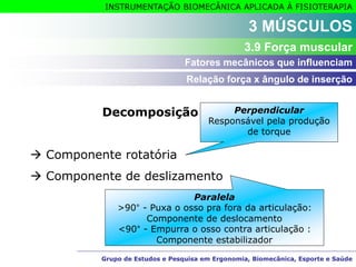 Grupo de Estudos e Pesquisa em Ergonomia, Biomecânica, Esporte e Saúde
INSTRUMENTAÇÃO BIOMECÂNICA APLICADA À FISIOTERAPIA
Grupo de Estudos e Pesquisa em Ergonomia, Biomecânica, Esporte e Saúde
Decomposição da força
 Componente rotatória
 Componente de deslizamento
3 MÚSCULOS
3.9 Força muscular
Perpendicular
Responsável pela produção
de torque
Paralela
>90° - Puxa o osso pra fora da articulação:
Componente de deslocamento
<90° - Empurra o osso contra articulação :
Componente estabilizador
Relação força x ângulo de inserção
Fatores mecânicos que influenciam
 