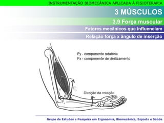 Grupo de Estudos e Pesquisa em Ergonomia, Biomecânica, Esporte e Saúde
INSTRUMENTAÇÃO BIOMECÂNICA APLICADA À FISIOTERAPIA
Grupo de Estudos e Pesquisa em Ergonomia, Biomecânica, Esporte e Saúde
3 MÚSCULOS
3.9 Força muscular
Relação força x ângulo de inserção
Fatores mecânicos que influenciam
 