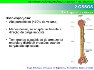 Grupo de Estudos e Pesquisa em Ergonomia, Biomecânica, Esporte e Saúde
INSTRUMENTAÇÃO BIOMECÂNICA APLICADA À FISIOTERAPIA
Osso esponjoso:
• Alta porosidade (<70% do volume)
• Menos denso, se adapta facilmente a
direção da carga imposta.
• Tem grande capacidade de armazenar
energia e distribuir pressões quando
cargas são aplicadas.
2 OSSOS
2.4 Arquitetura óssea
 