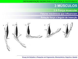 Grupo de Estudos e Pesquisa em Ergonomia, Biomecânica, Esporte e Saúde
INSTRUMENTAÇÃO BIOMECÂNICA APLICADA À FISIOTERAPIA
Grupo de Estudos e Pesquisa em Ergonomia, Biomecânica, Esporte e Saúde
3 MÚSCULOS
3.9 Força muscular
Relação força x ângulo de inserção
Fatores mecânicos que influenciam
 