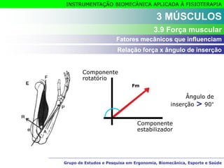 Grupo de Estudos e Pesquisa em Ergonomia, Biomecânica, Esporte e Saúde
INSTRUMENTAÇÃO BIOMECÂNICA APLICADA À FISIOTERAPIA
Grupo de Estudos e Pesquisa em Ergonomia, Biomecânica, Esporte e Saúde
3 MÚSCULOS
3.9 Força muscular
Relação força x ângulo de inserção
Fatores mecânicos que influenciam
Componente
rotatório
Componente
estabilizador
Fm
Ângulo de
inserção > 90°
 