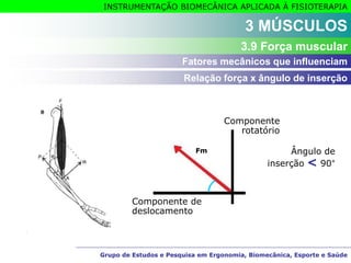 Grupo de Estudos e Pesquisa em Ergonomia, Biomecânica, Esporte e Saúde
INSTRUMENTAÇÃO BIOMECÂNICA APLICADA À FISIOTERAPIA
Grupo de Estudos e Pesquisa em Ergonomia, Biomecânica, Esporte e Saúde
3 MÚSCULOS
3.9 Força muscular
Relação força x ângulo de inserção
Fatores mecânicos que influenciam
Componente
rotatório
Componente de
deslocamento
Fm Ângulo de
inserção < 90°
 