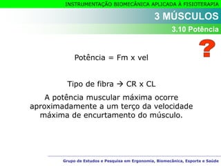 Grupo de Estudos e Pesquisa em Ergonomia, Biomecânica, Esporte e Saúde
INSTRUMENTAÇÃO BIOMECÂNICA APLICADA À FISIOTERAPIA
Grupo de Estudos e Pesquisa em Ergonomia, Biomecânica, Esporte e Saúde
3 MÚSCULOS
3.10 Potência
Potência = Fm x vel
Tipo de fibra  CR x CL
A potência muscular máxima ocorre
aproximadamente a um terço da velocidade
máxima de encurtamento do músculo.
 