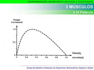 Grupo de Estudos e Pesquisa em Ergonomia, Biomecânica, Esporte e Saúde
INSTRUMENTAÇÃO BIOMECÂNICA APLICADA À FISIOTERAPIA
Grupo de Estudos e Pesquisa em Ergonomia, Biomecânica, Esporte e Saúde
3 MÚSCULOS
3.10 Potência
 