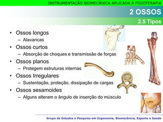 Grupo de Estudos e Pesquisa em Ergonomia, Biomecânica, Esporte e Saúde
INSTRUMENTAÇÃO BIOMECÂNICA APLICADA À FISIOTERAPIA
• Ossos longos
– Alavancas
• Ossos curtos
– Absorção de choques e transmissão de forças
• Ossos planos
– Protegem estruturas internas
• Ossos Irregulares
– Sustentação, proteção, dissipação de cargas
• Ossos sesamoides
– Alguns alteram o ângulo de inserção do músculo
2 OSSOS
2.5 Tipos
 