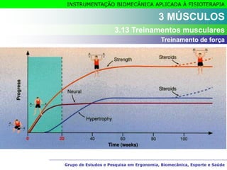 Grupo de Estudos e Pesquisa em Ergonomia, Biomecânica, Esporte e Saúde
INSTRUMENTAÇÃO BIOMECÂNICA APLICADA À FISIOTERAPIA
Grupo de Estudos e Pesquisa em Ergonomia, Biomecânica, Esporte e Saúde
3 MÚSCULOS
3.13 Treinamentos musculares
Treinamento de força
 