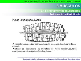 Grupo de Estudos e Pesquisa em Ergonomia, Biomecânica, Esporte e Saúde
INSTRUMENTAÇÃO BIOMECÂNICA APLICADA À FISIOTERAPIA
Grupo de Estudos e Pesquisa em Ergonomia, Biomecânica, Esporte e Saúde
3 MÚSCULOS
3.13 Treinamentos musculares
Treinamento de flexibilidade
 