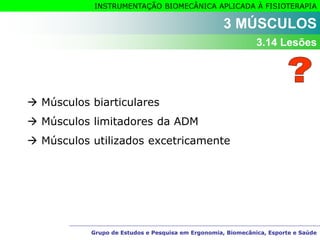 Grupo de Estudos e Pesquisa em Ergonomia, Biomecânica, Esporte e Saúde
INSTRUMENTAÇÃO BIOMECÂNICA APLICADA À FISIOTERAPIA
Grupo de Estudos e Pesquisa em Ergonomia, Biomecânica, Esporte e Saúde
3 MÚSCULOS
3.14 Lesões
 Músculos biarticulares
 Músculos limitadores da ADM
 Músculos utilizados excetricamente
 