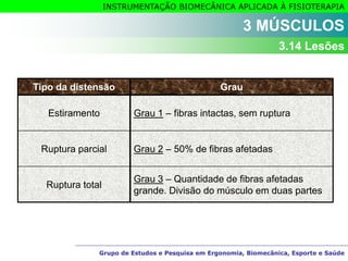 Grupo de Estudos e Pesquisa em Ergonomia, Biomecânica, Esporte e Saúde
INSTRUMENTAÇÃO BIOMECÂNICA APLICADA À FISIOTERAPIA
Grupo de Estudos e Pesquisa em Ergonomia, Biomecânica, Esporte e Saúde
3 MÚSCULOS
3.14 Lesões
Tipo da distensão Grau
Estiramento Grau 1 – fibras intactas, sem ruptura
Ruptura parcial Grau 2 – 50% de fibras afetadas
Ruptura total
Grau 3 – Quantidade de fibras afetadas
grande. Divisão do músculo em duas partes
 