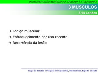 Grupo de Estudos e Pesquisa em Ergonomia, Biomecânica, Esporte e Saúde
INSTRUMENTAÇÃO BIOMECÂNICA APLICADA À FISIOTERAPIA
Grupo de Estudos e Pesquisa em Ergonomia, Biomecânica, Esporte e Saúde
3 MÚSCULOS
3.14 Lesões
 Fadiga muscular
 Enfraquecimento por uso recente
 Recorrência da lesão
 