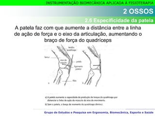 Grupo de Estudos e Pesquisa em Ergonomia, Biomecânica, Esporte e Saúde
INSTRUMENTAÇÃO BIOMECÂNICA APLICADA À FISIOTERAPIA
A patela faz com que aumente a distância entre a linha
de ação de força e o eixo da articulação, aumentando o
braço de força do quadríceps
2 OSSOS
2.6 Especificidade da patela
 