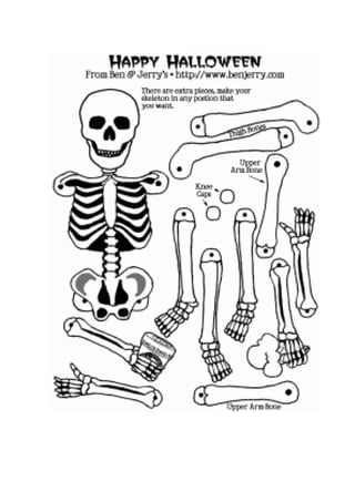 Os ósos os músculos e a respiración