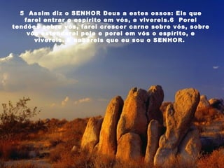 5  Assim diz o SENHOR Deus a estes ossos: Eis que farei entrar o espírito em vós, e vivereis.6  Porei tendões sobre vós, farei crescer carne sobre vós, sobre vós estenderei pele e porei em vós o espírito, e vivereis. E sabereis que eu sou o SENHOR.  