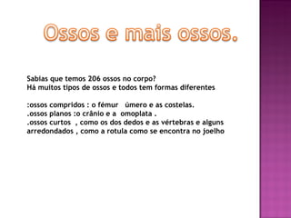 Sabias que temos 206 ossos no corpo? Há muitos tipos de ossos e todos tem formas diferentes  :ossos compridos : o fémur  úmero e as costelas. .ossos planos :o crânio e a  omoplata . .ossos curtos  , como os dos dedos e as vértebras e alguns arredondados , como a rotula como se encontra no joelho 