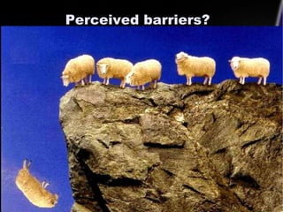 Perceived barriers?

Following the herd?




                              12
 